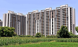 Applewoods Orchid Harmony, Ahmedabad, Gujarat